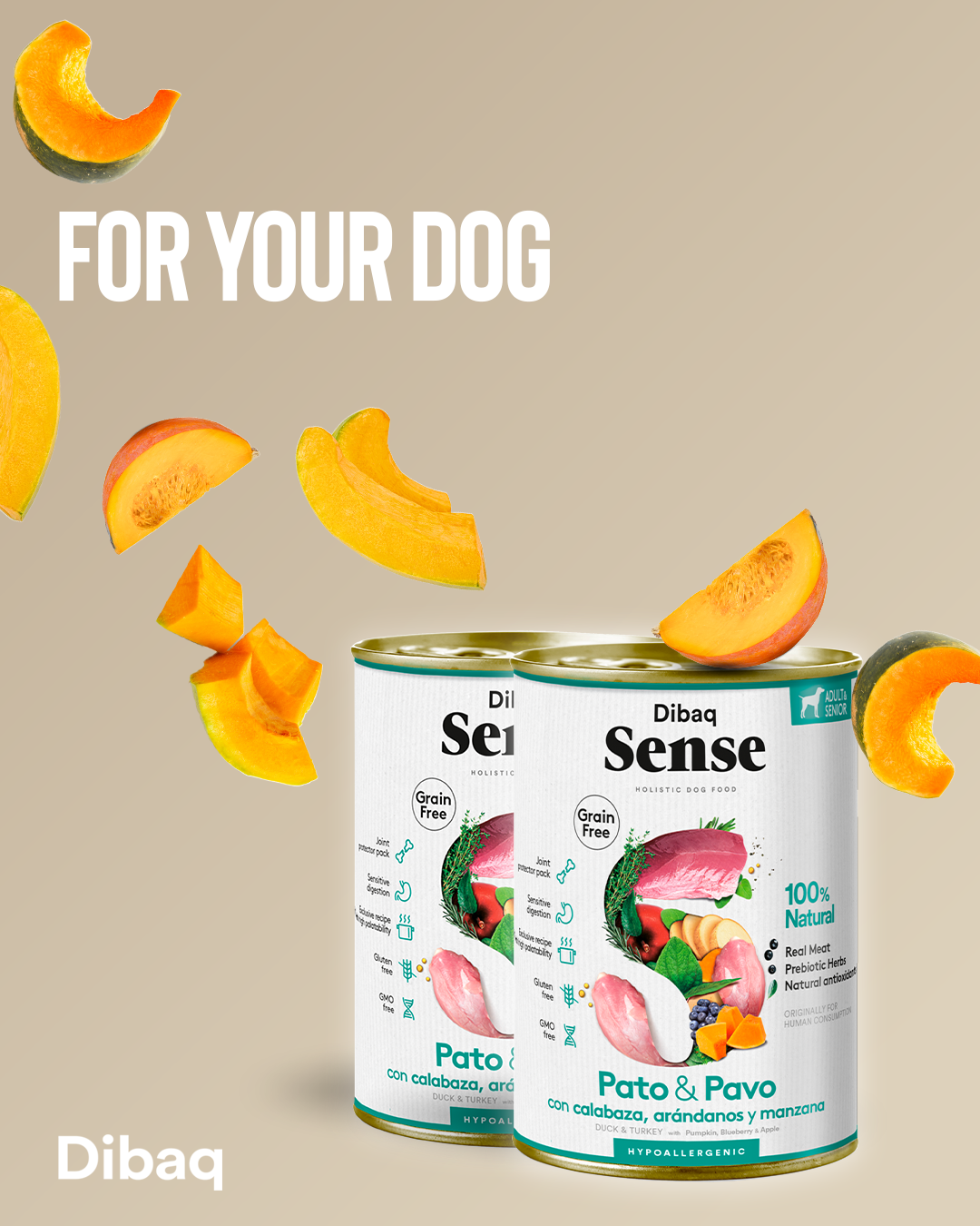 Nassfutter Hunde