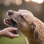 Royal Diamonds Pferdeleber 1kg