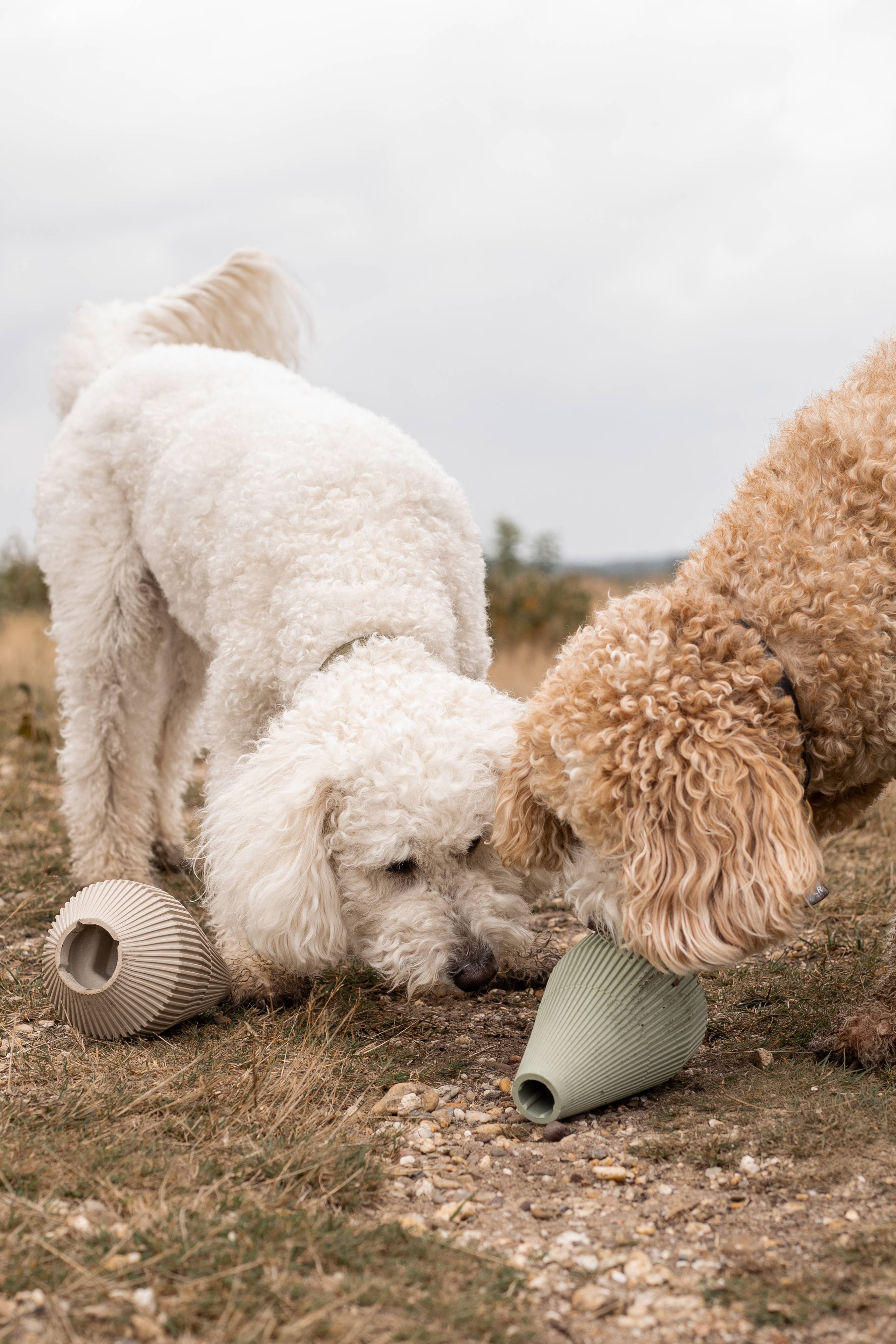 LIEVICK - YUME | vielseitiges Beschäftigungsspielzeug für Hunde