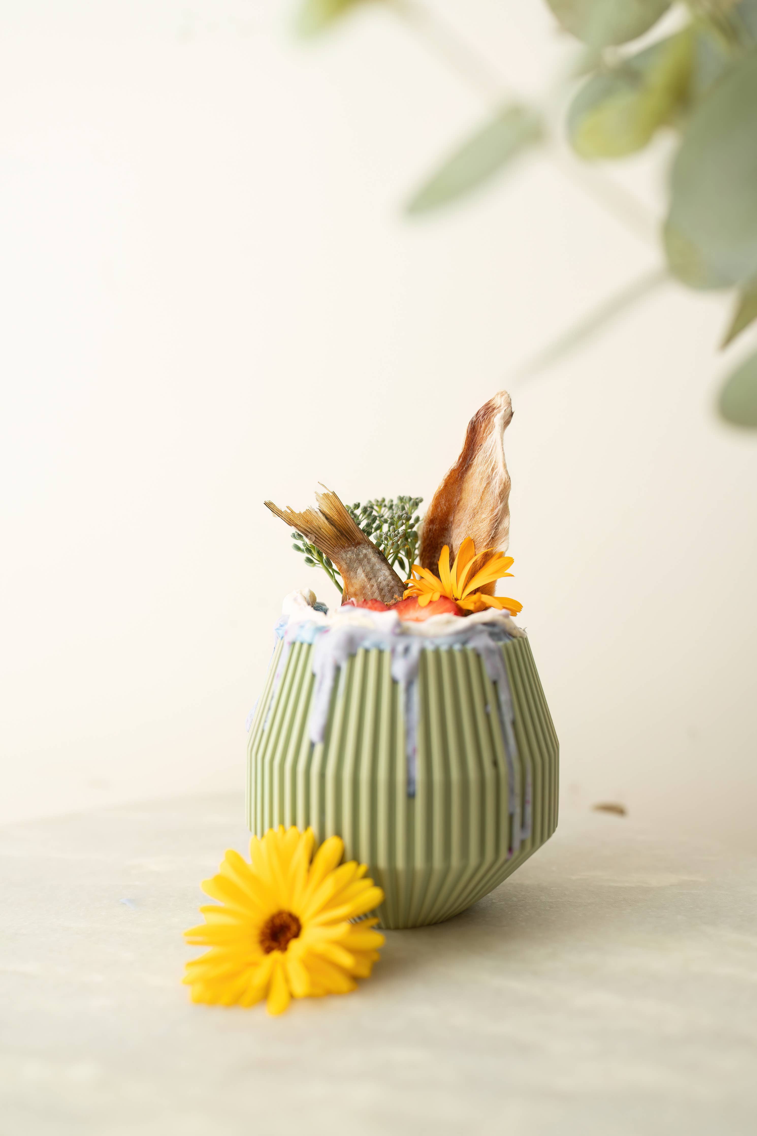 LIEVICK - YUME | vielseitiges Beschäftigungsspielzeug für Hunde