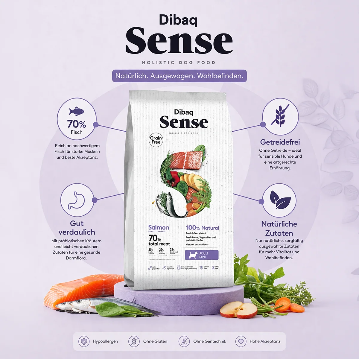 DIBAQ Sense getreidefrei Lachs Mini 2kg