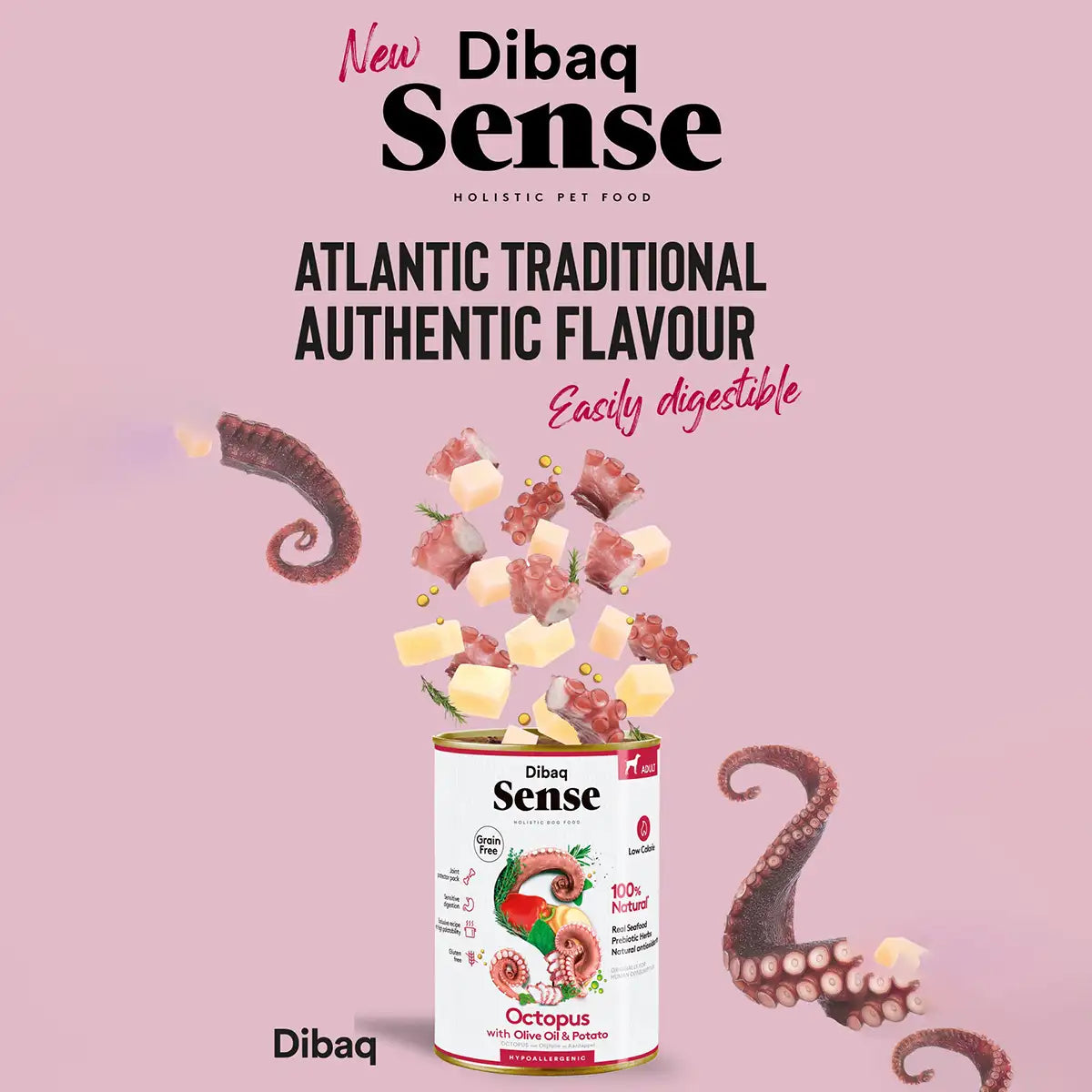 Dibaq Sense Oktopus
