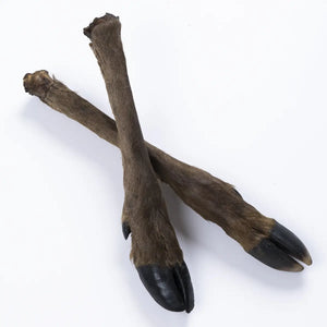 Royal Diamonds Hirschunterbein mit Fell 3 Stück