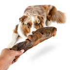 Getrocknete Kamelnase für Hunde – natürlicher Kauartikel