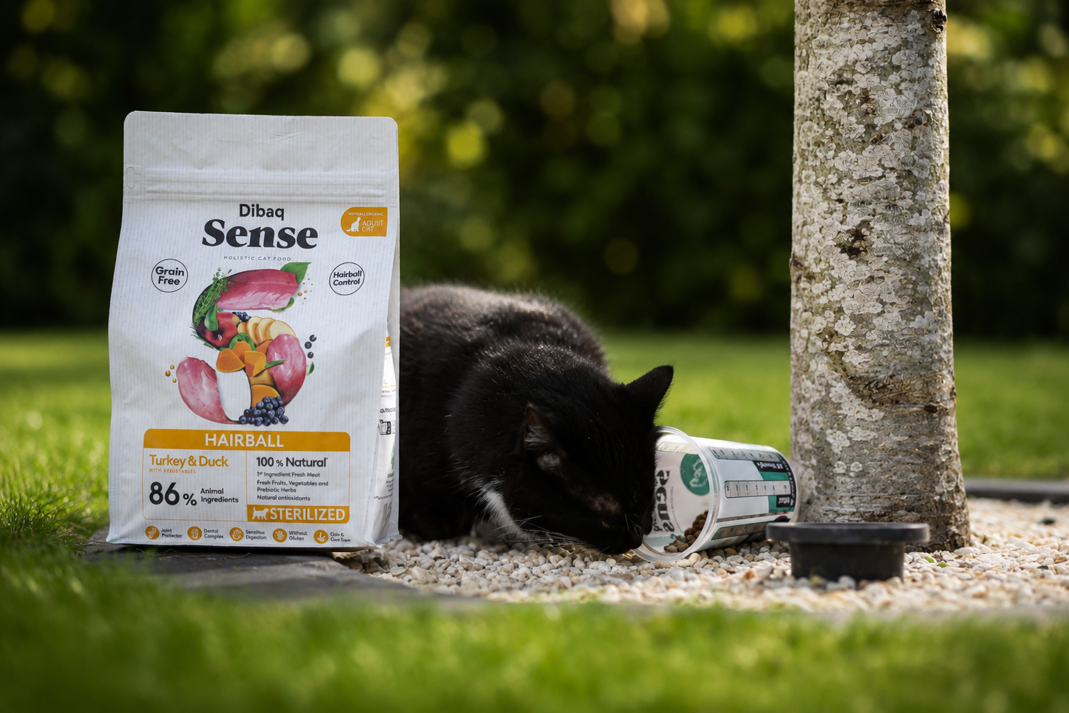Katze firsst das Trockenfutter von Dibaq Sense aus dem Prortionierer und der Sack ist nehmen der Katze zu sehen.