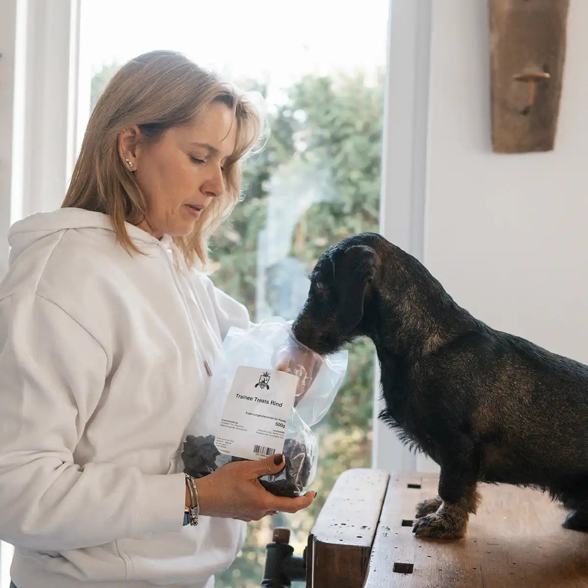 Dackel sitzt auf einem Tisch und wird mit den Trainee Treats gefüttert und man sieht die Packung und der Hund nimmt eigenständig seinen Kopf dort rein um an die Leckerlis zu kommen. 