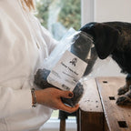 Dackel sitzt auf einem Tisch und wird mit den Trainee Treats gefüttert und man sieht die Packung und der Hund nimmt eigenständig seinen Kopf dort rein um an die Leckerlis zu kommen. 