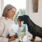 Dackel sitzt auf einem Tisch und wird mit den Trainee Treats gefüttert und man sieht die Packung in der einen Hand und die andere Hand füttert den Hund.