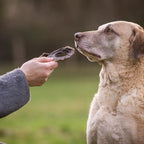Frau füttert ihrem Hund ein getrocknetes Pferdeherz von Royal Diamonds und der Hund genießt es.