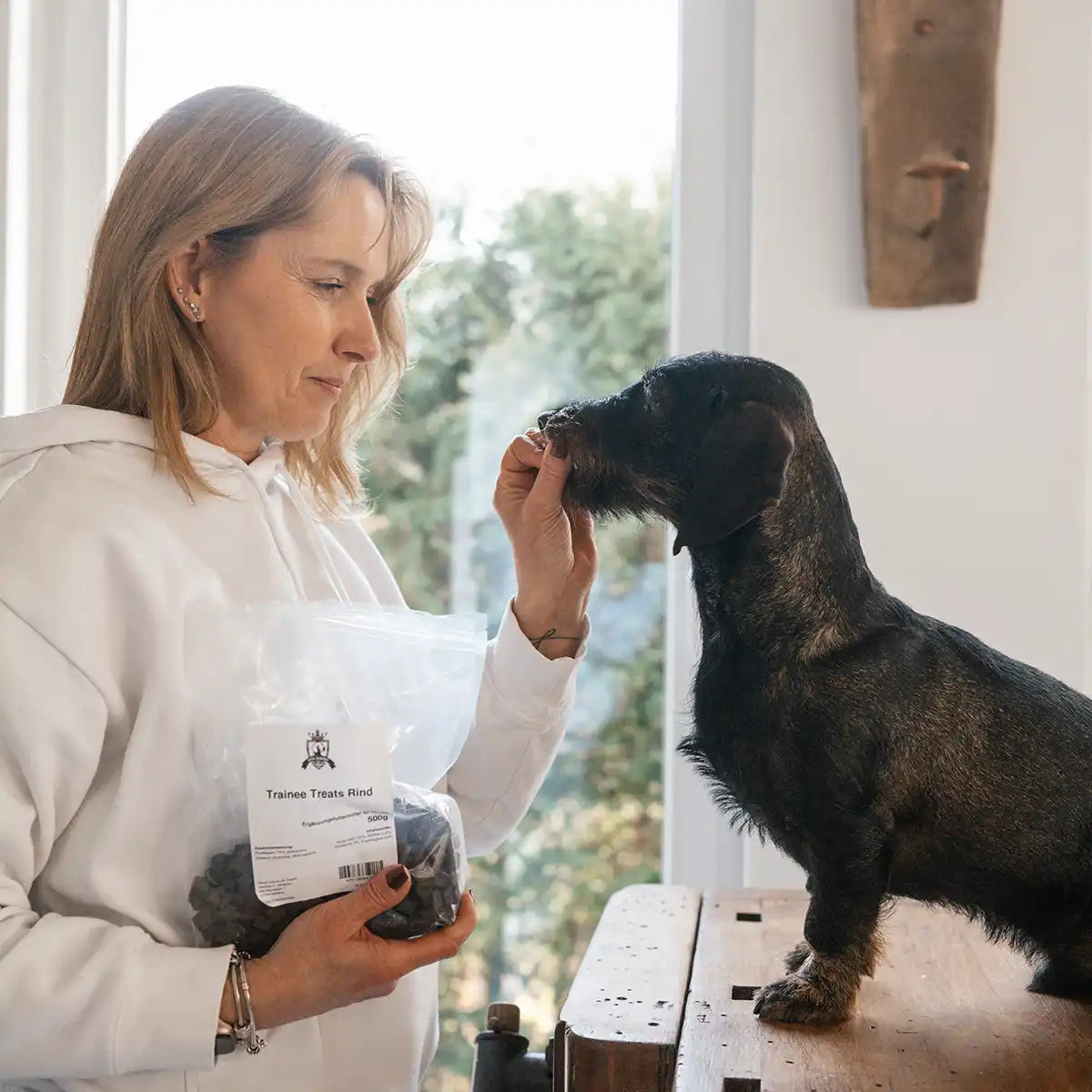 Dackel sitzt auf einem Tisch und wird mit den Trainee Treats gefüttert und man sieht die Packung in der einen Hand und die andere Hand füttert den Hund.