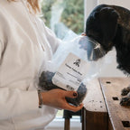Dackel sitzt auf einem Tisch und wird mit den Trainee Treats gefüttert und man sieht die Packung und der Hund nimmt eigenständig seinen Kopf dort rein um an die Leckerlis zu kommen. 