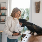 Dackel sitzt auf einem Tisch und wird mit den Trainee Treats gefüttert und man sieht die Packung in der einen Hand und die andere Hand füttert den Hund.
