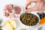 Ydolo Iberico halbfeuchtes Hundefutter Monoprotein