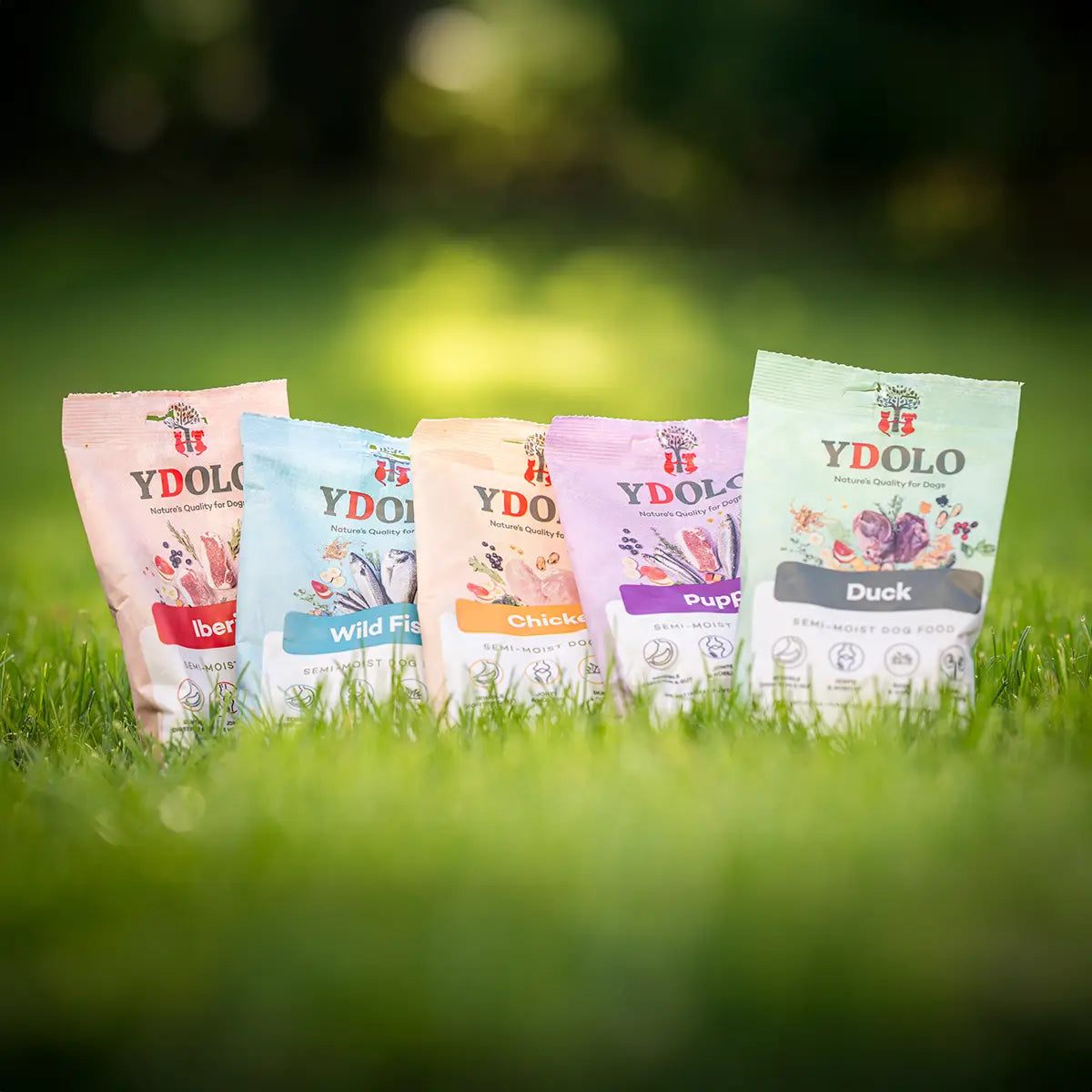 Probierpaket Hund von Ydolo und Dibaq