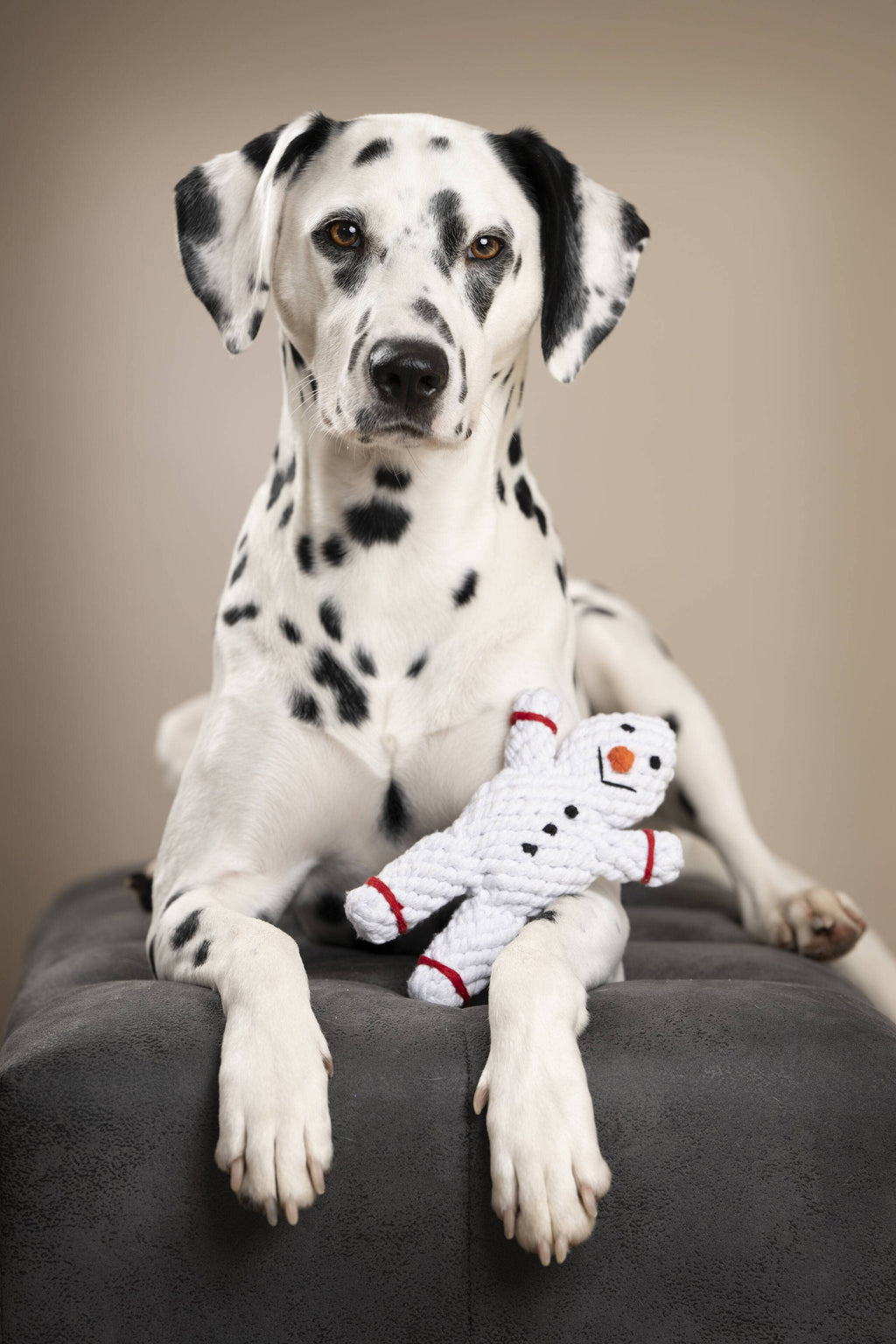 LABONI -  Shawn der Schneemann