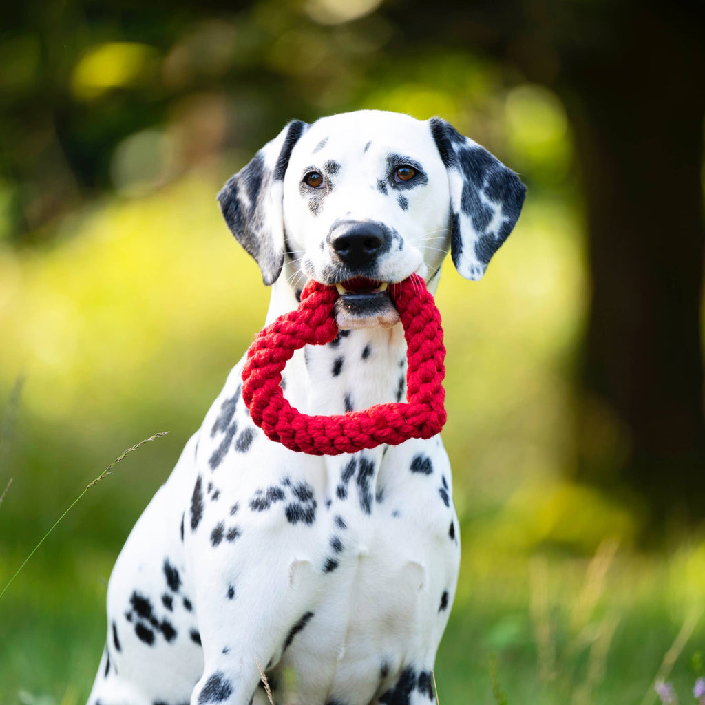 LABONI - Hertha Heart