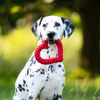 LABONI - Hertha Heart