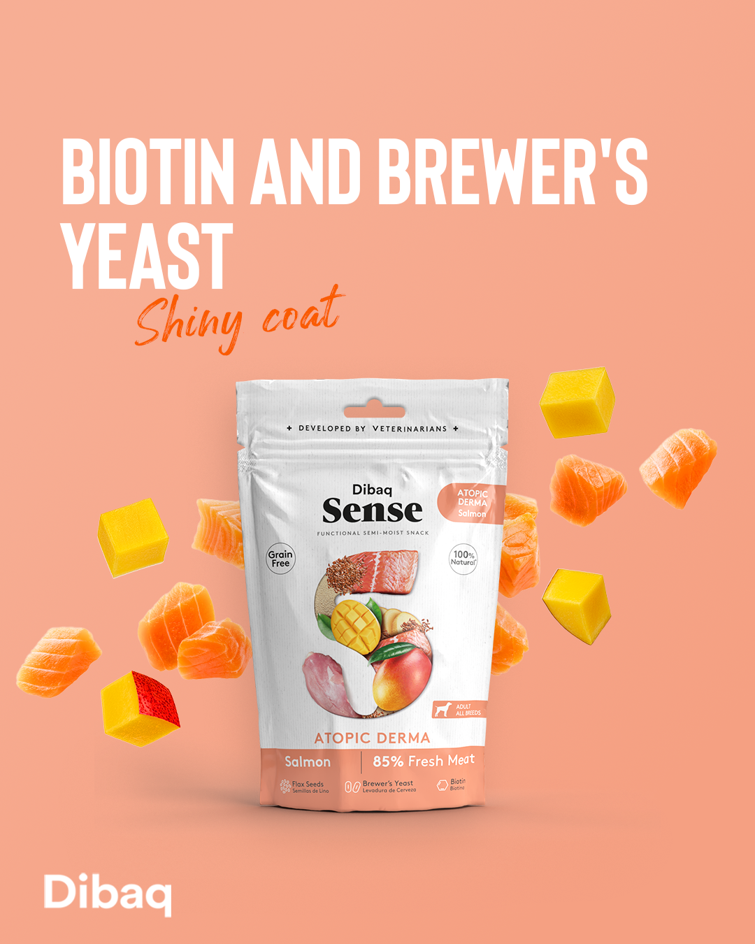 DIBAQ SENSE Derma Lachs 100g