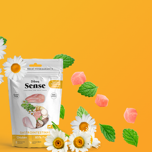 DIBAQ SENSE Gastrointestinal Huhn 100g