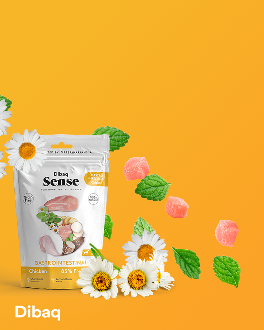 DIBAQ SENSE Gastrointestinal Huhn 100g