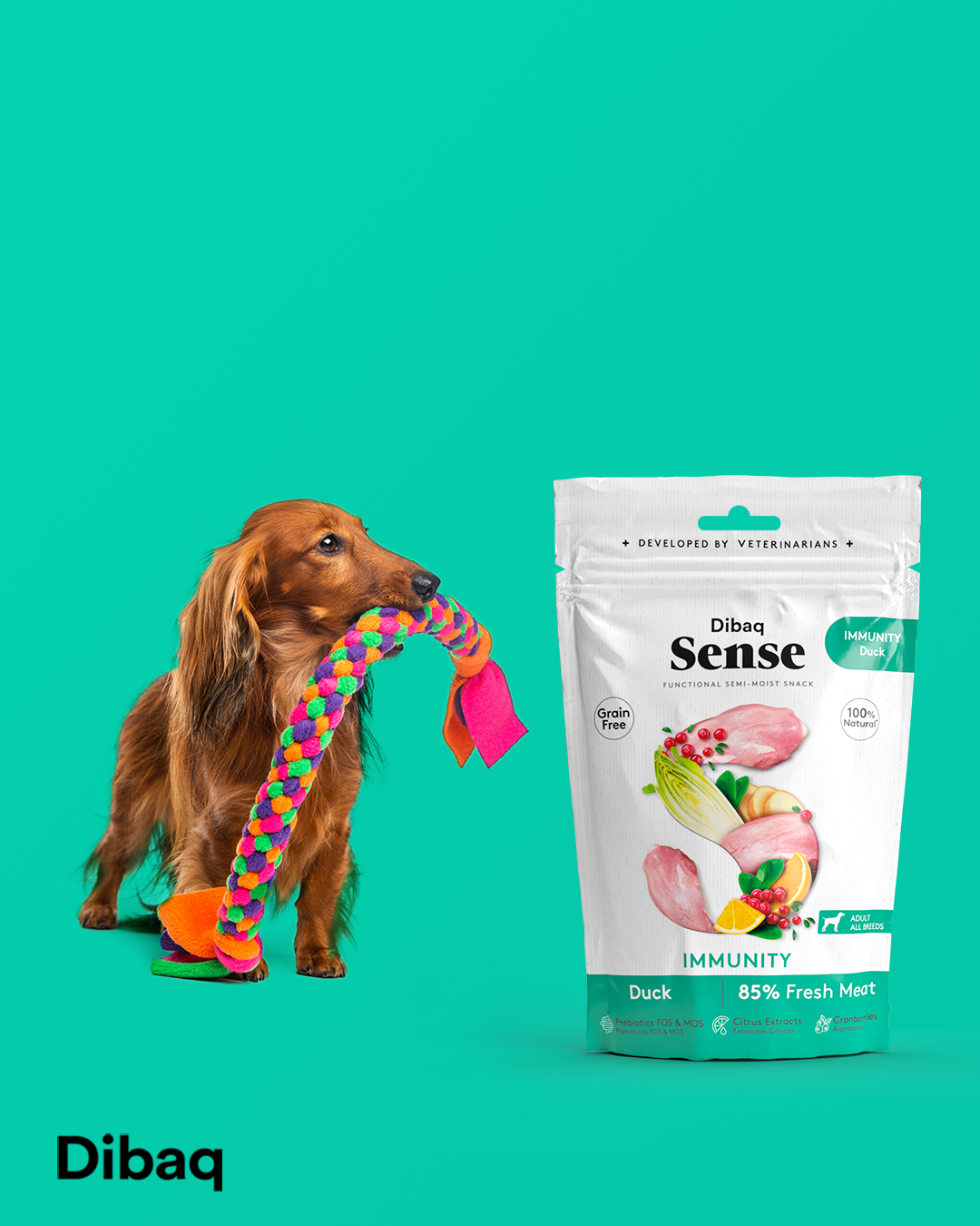 DIBAQ SENSE Immunität Ente 100g