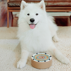 3-In-1-Bento Hundenapf, Schlecknapf