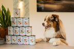 DIBAQ Sense getreidefrei Kaninchen & Pute 380g