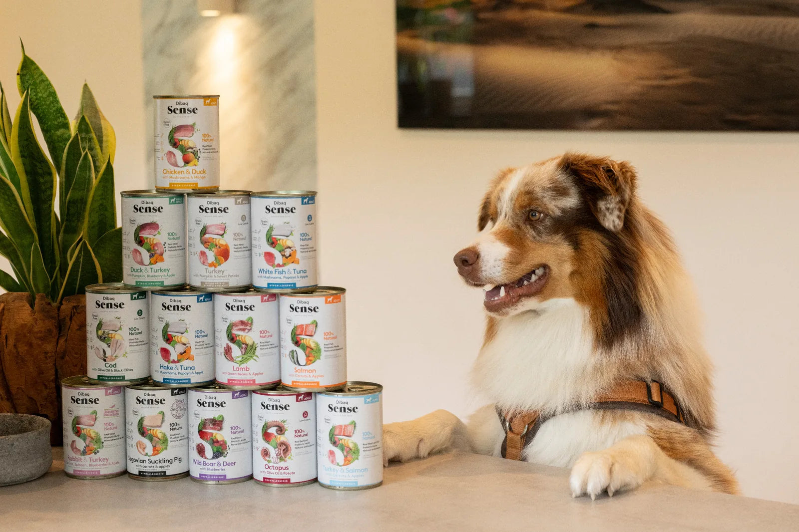 DIBAQ Sense getreidefrei Kaninchen & Pute 380g