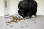 DIBAQ Sense getreidefrei Hauskatze