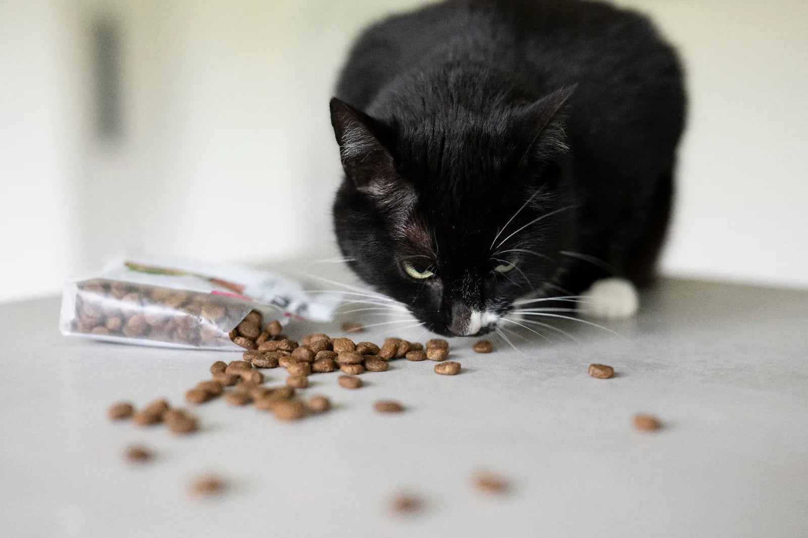 DIBAQ Sense getreidefrei Hauskatze
