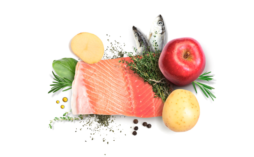 DIBAQ Sense getreidefrei Lachs 12kg