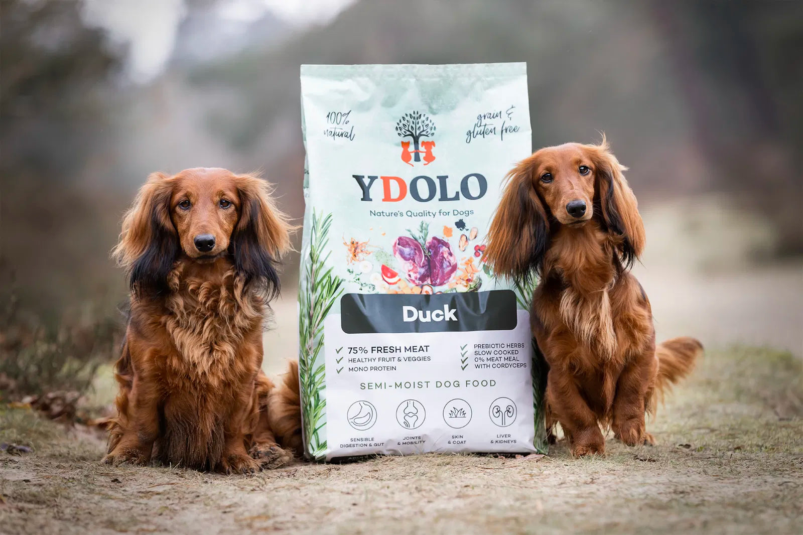 YDOLO Ente Semi-Moist Hundefutter in einer grünen Verpackung und daneben sitzen auf jeder Seite jeweils ein langhaariger Dackel.