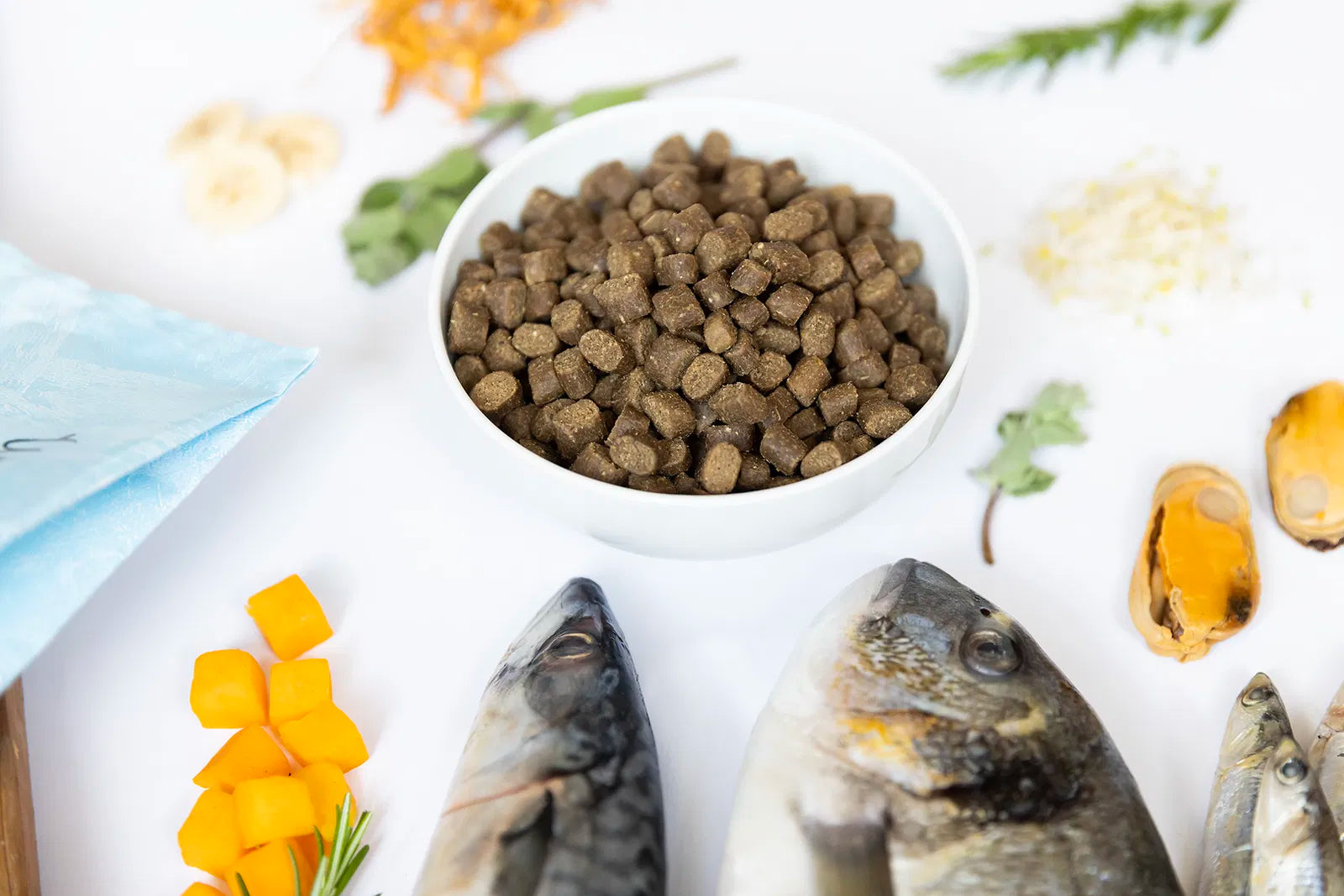 Ydolo Wildfisch halbfeuchtes Hundefutter 10kg