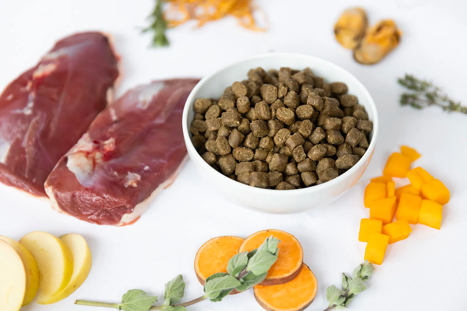 Ydolo Ente halbfeuchtes Hundefutter 10kg Monoprotein