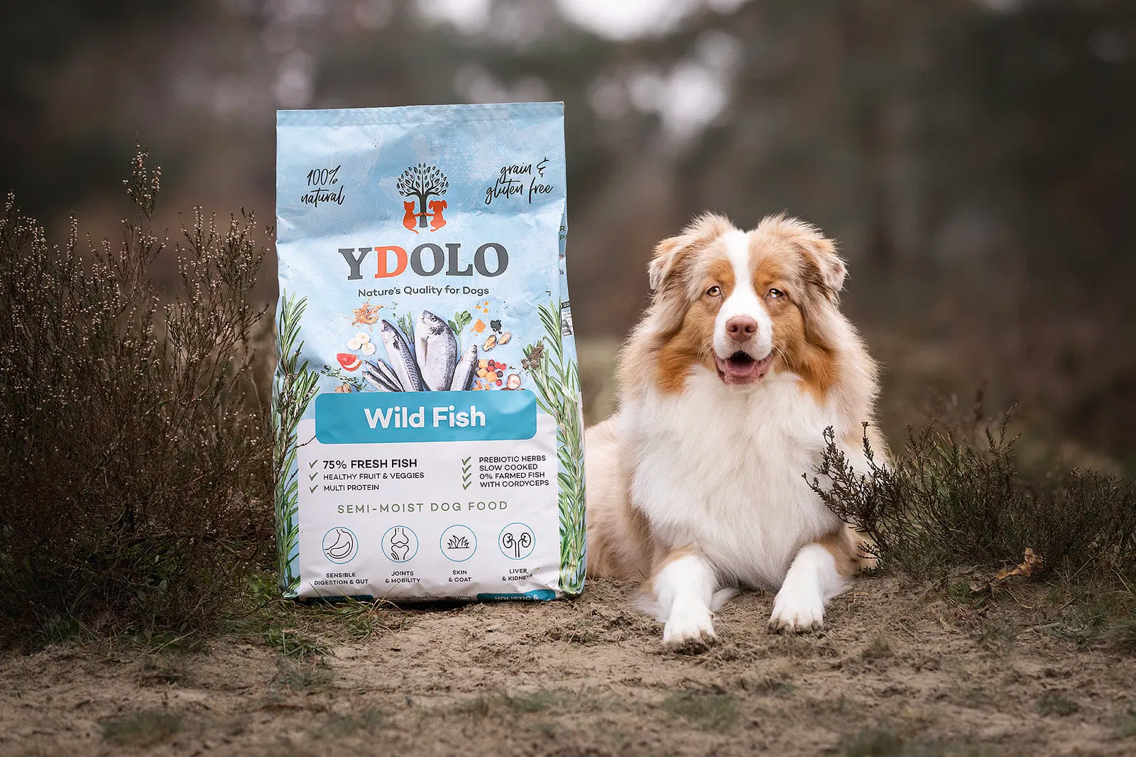Ydolo Wildfisch halbfeuchtes Hundefutter 10kg